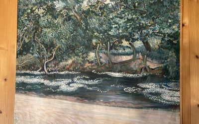 Brightmere Farm Pond, Hickling