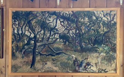 Long Gores Wood (NFS)