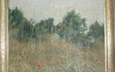 Unknown Scrubland (NFS)