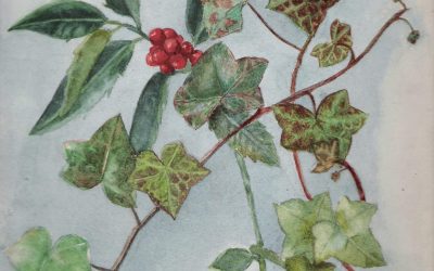 Holly and Ivy – Christmas Card