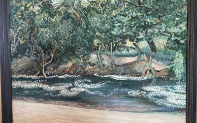 Brightmere Farm Pond, Hickling